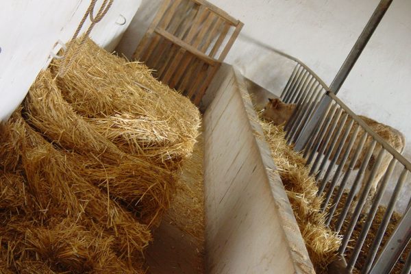 historia-casa-tinelo-3 historia-casa-tinelo-3