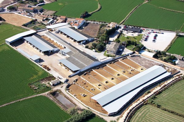 historia-casa-tinelo-6 historia-casa-tinelo-6